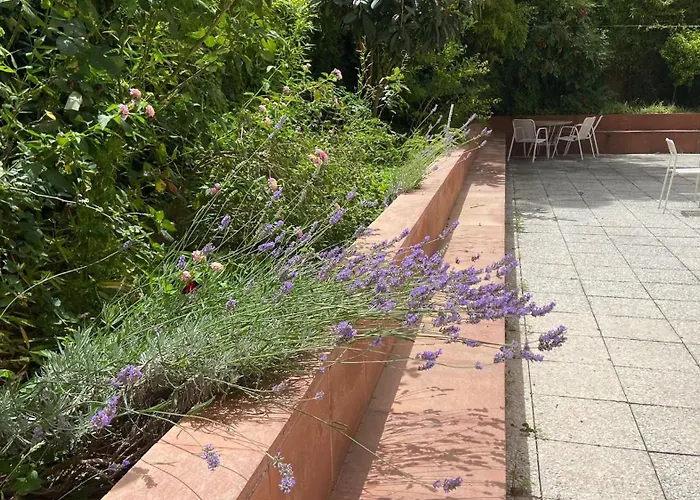 Hostel Residencia Universitaria Pare Claret *